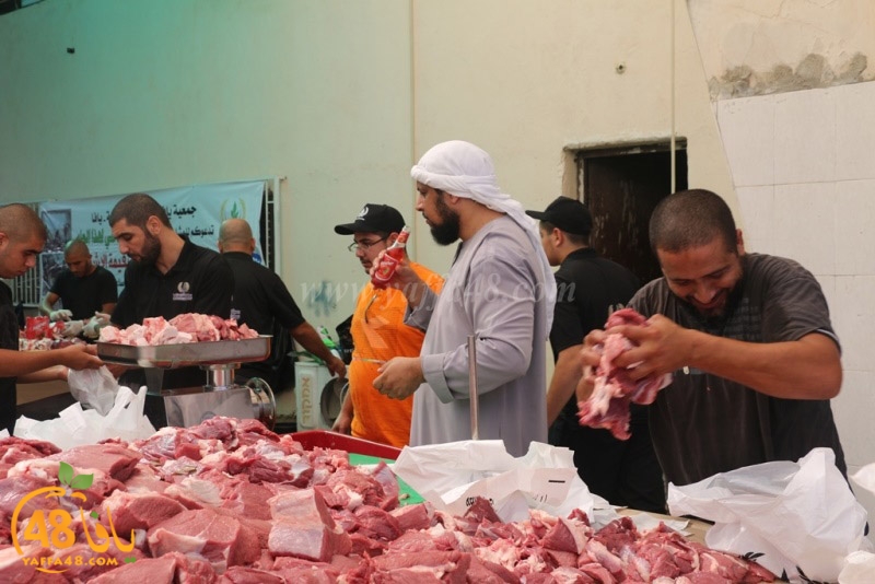 lod8om ada73y (112).JPG